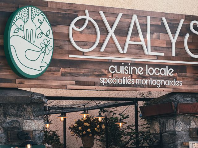 Oxalys oxalys-1.jpg