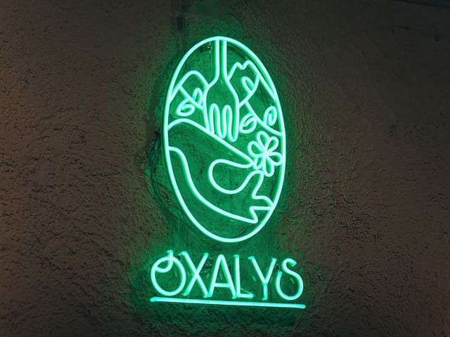Oxalys oxalys-57.jpg